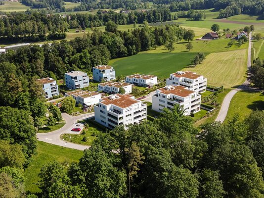 bild-1