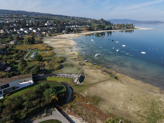 image00006